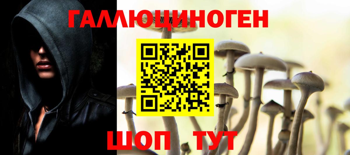 Галлюциногенные грибы Psilocybine cubensis  Вход с VPN  Елизово 
